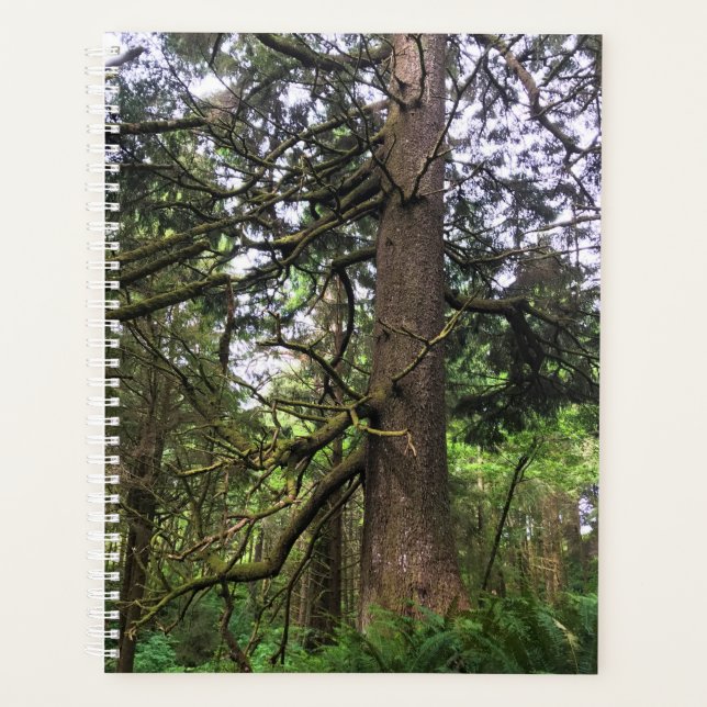Agenda Eco-a State Park, Cannon Beach, Oregon (Frente)
