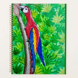 Agenda Ei, tem uma arara escarlate naquela árvore!