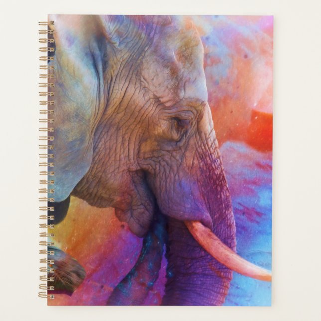 AGENDA ELEFANTE LEMBRA DE ÁGUAS SAGRADAS (Frente)