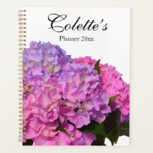Agenda Elegante azul-rosa Hydrangeas rosa púrpura para el