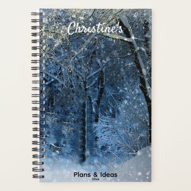 Agenda Elegante Snowy Forest Sunshine Sparkle Nome Anual (Frente)