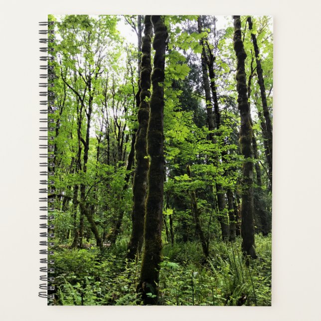 Agenda Elijah Bristow State Park, Dexter, Oregon (Frente)