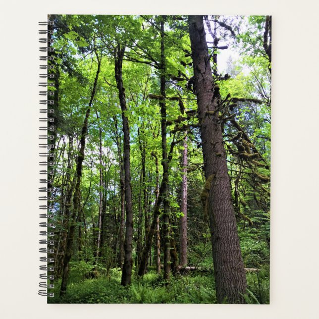 Agenda Elijah Bristow State Park, Dexter, Oregon (Frente)