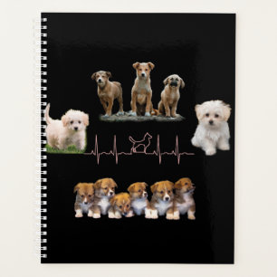 Agenda Embalagem de cães, Encapsulamento Engraçado