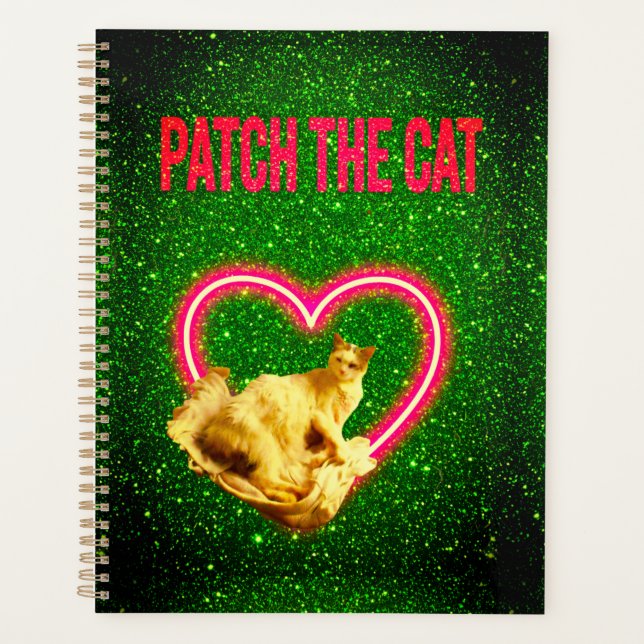 AGENDA EMPURRE O GLAMOR E O DESIGN DE GATO (Frente)