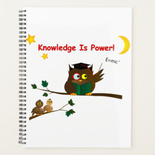 Agenda Ensinando Wise Owl