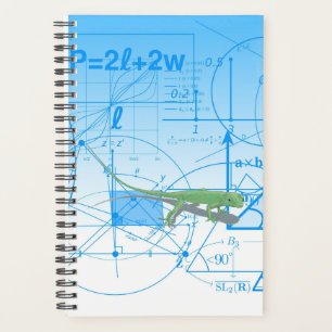 Agenda Equações Coloridas Designs Geométricos Lizard P