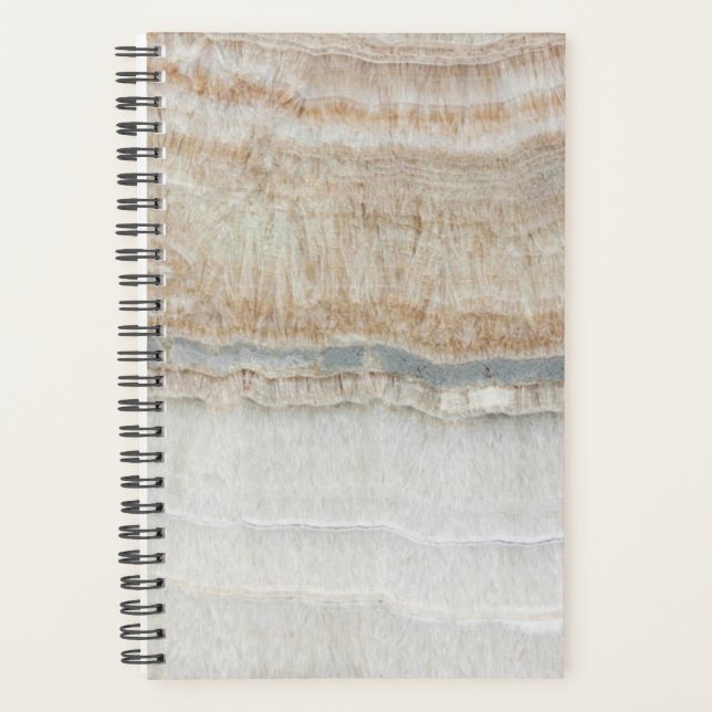 Agenda escandaloso e simples cinza-branca-branca-moderna (Frente)