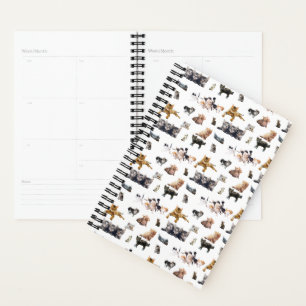 Agenda Espelho bonito com fotografias de gatos e gatinhos