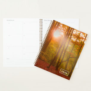 Agenda Esplendor de outono