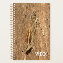 Agenda Esquilo de Palma Indiano num tronco de Árvore