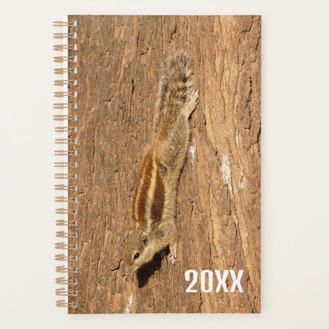 Agenda Esquilo de Palma Indiano num tronco de Árvore (Frente)