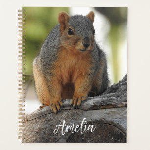 Agenda Esquilo Personalizado Bonito