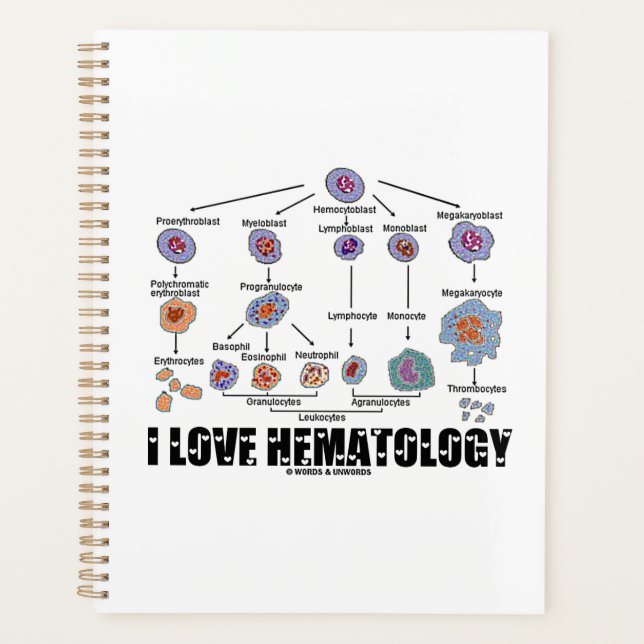 Agenda Eu Amo Hematologia Linhagem De Células Sanguíneas (Frente)
