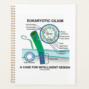 Agenda Eukaryotic Cilium A Case Para Design Inteligente