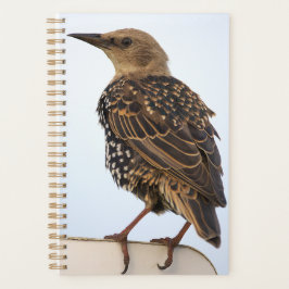 Agenda European Starling Planner