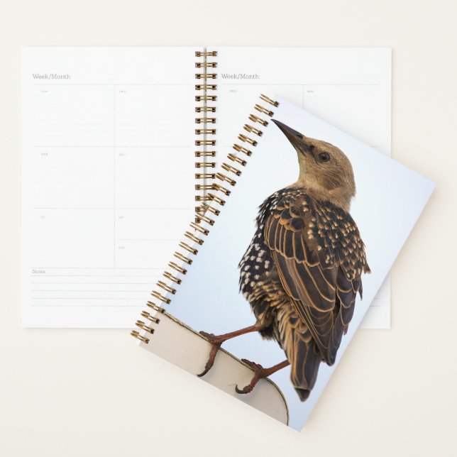 Agenda European Starling Planner (Exibição)