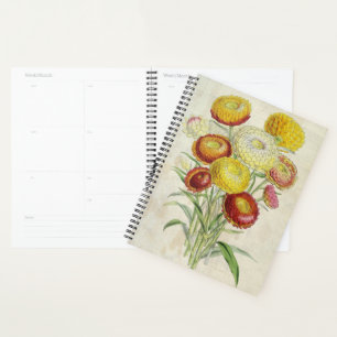 Agenda Everlastings Botânicas Incurvadas Vintage