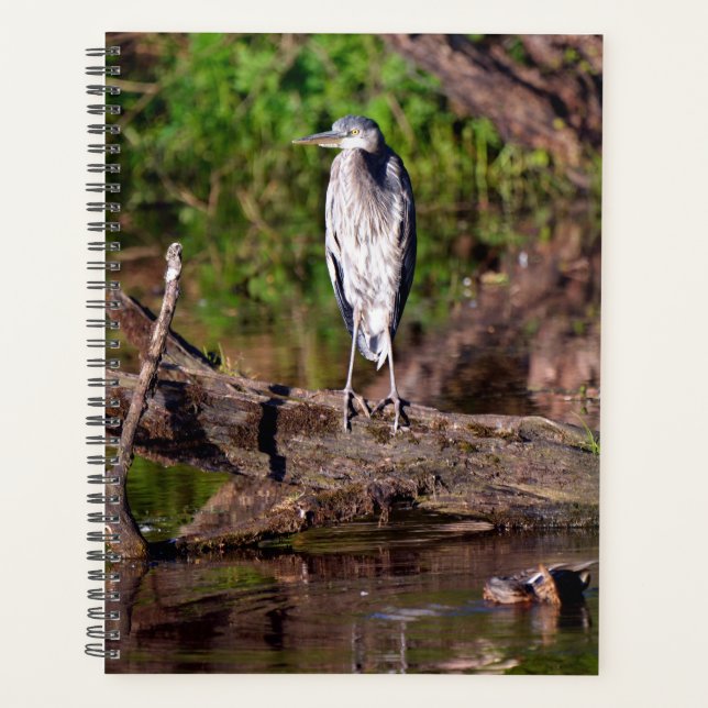 Agenda Excelente Azul Heron no Log Photo Planner (Frente)