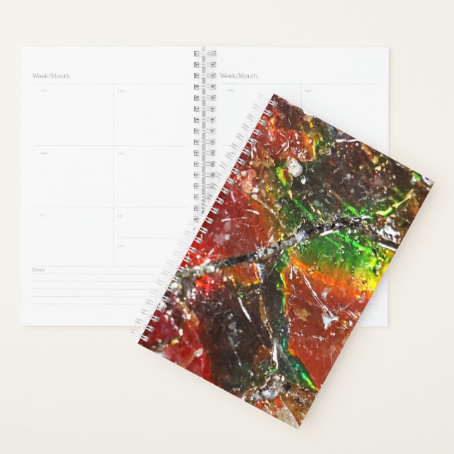 Agenda Falln Piedras Arcoiris (Exibição)