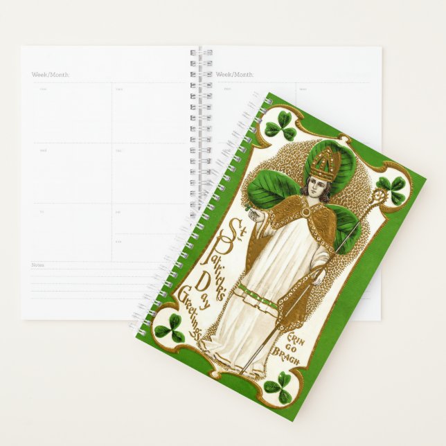 Agenda Falln Saint Patrick (Exibição)