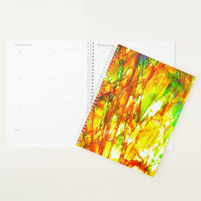 Agenda Falln Sunset Ammolite (Exibição)