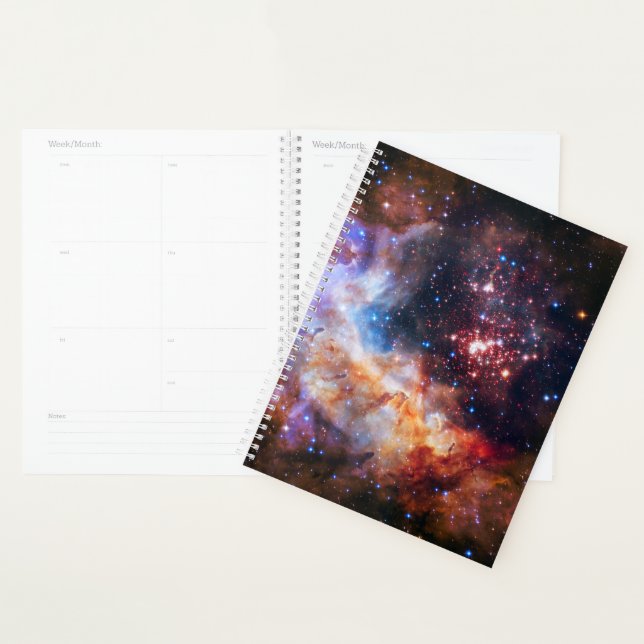 Agenda Falln Westerlund Starfield (Exibição)