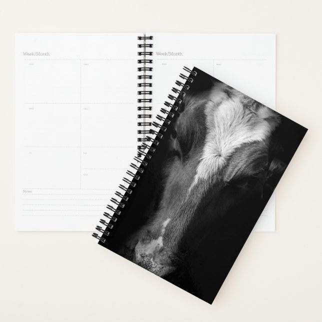 Agenda Farms | B&W Cow Head Shot (Exibição)