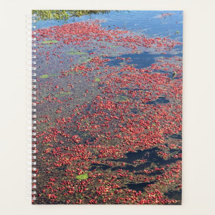 Agenda Fazenda de amora, Long Beach, Washington