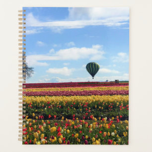 Agenda Fazenda de Tulipas Wooden Shoe, Woodburn, Oregon