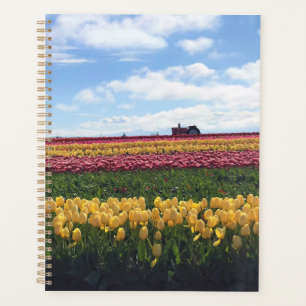 Agenda Fazenda de Tulipas Wooden Shoe, Woodburn, Oregon