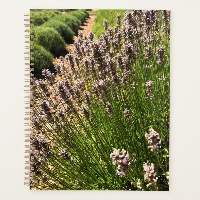 Agenda Fazenda lavanda (Frente)