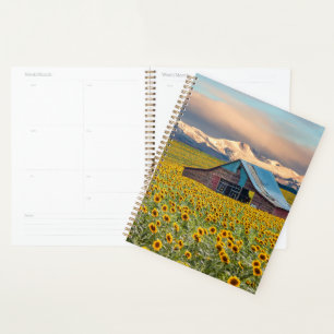 Agenda Fazendas Campo de girassol