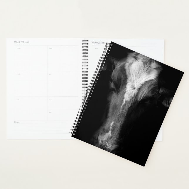 Agenda Fazendas | Foto Da Cabeça De Vaca B&W (Exibição)