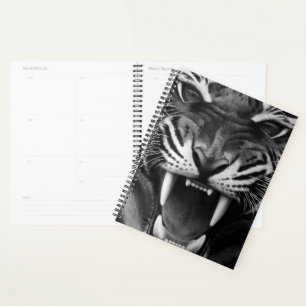 Agenda Feche a face superior