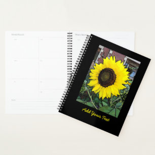 Agenda Feliz Aniversário Girassol