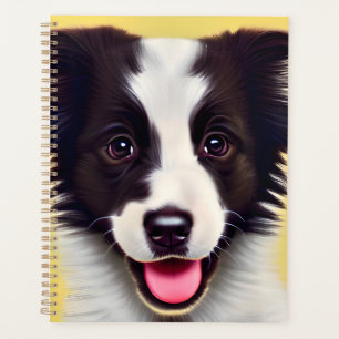 Agenda Feliz Cólle Fronteira