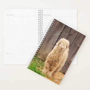 Agenda Felpudo Baby Goat
