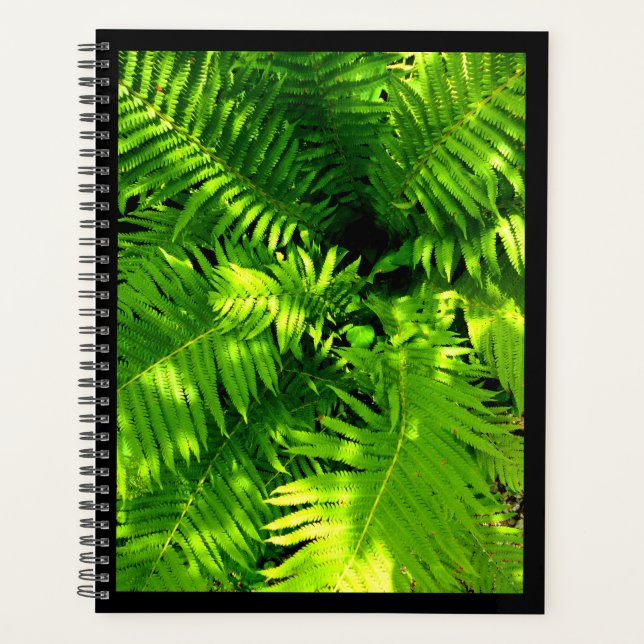 Agenda Fern (Frente)