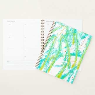 Agenda Fern
