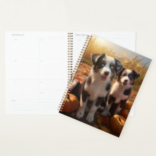 Agenda Filhote de Australian Shepherd Outono Delícia Abób