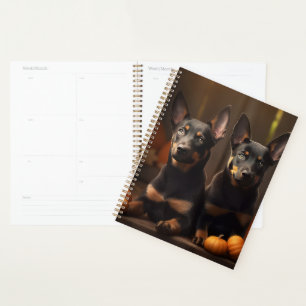 Agenda Filhote de Kelpie Australiano Outono Delícia Abóbo