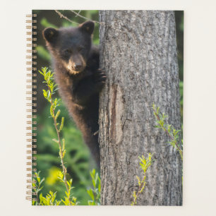 Agenda Filhote de Urso Negro na Primavera