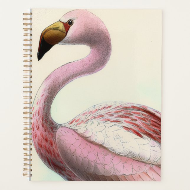Agenda Flamingo Antigo (Frente)