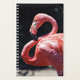 Agenda Flamingo Semanal/Planejador Mensal