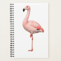 Flamingo Tropical e Papagaio Arara Capa Dupla