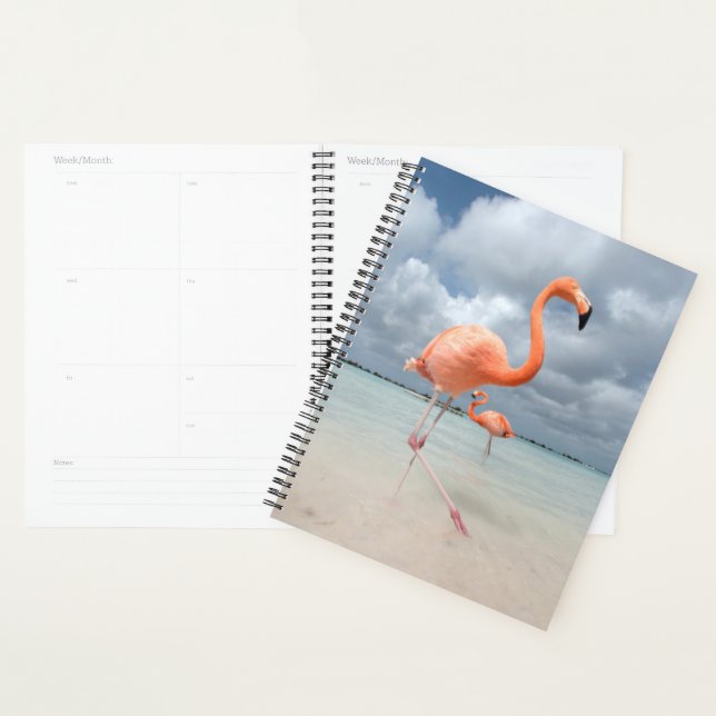 Agenda Flamingos Beach Aruba (Exibição)