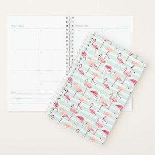 Agenda Flamingos Retroativos Em Fitas De Casa