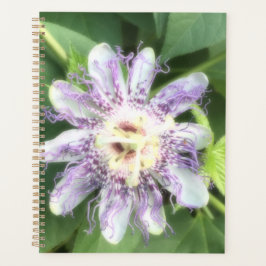 Agenda Flor da Paixão