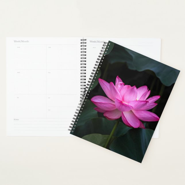 Agenda Flor de Lotus (Exibição)